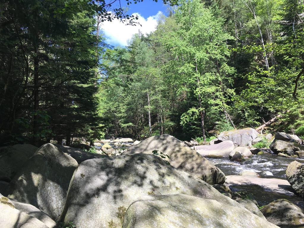 Apartman S Vyhledem Na Jezero Lipno nad Vltavou Eksteriør bilde